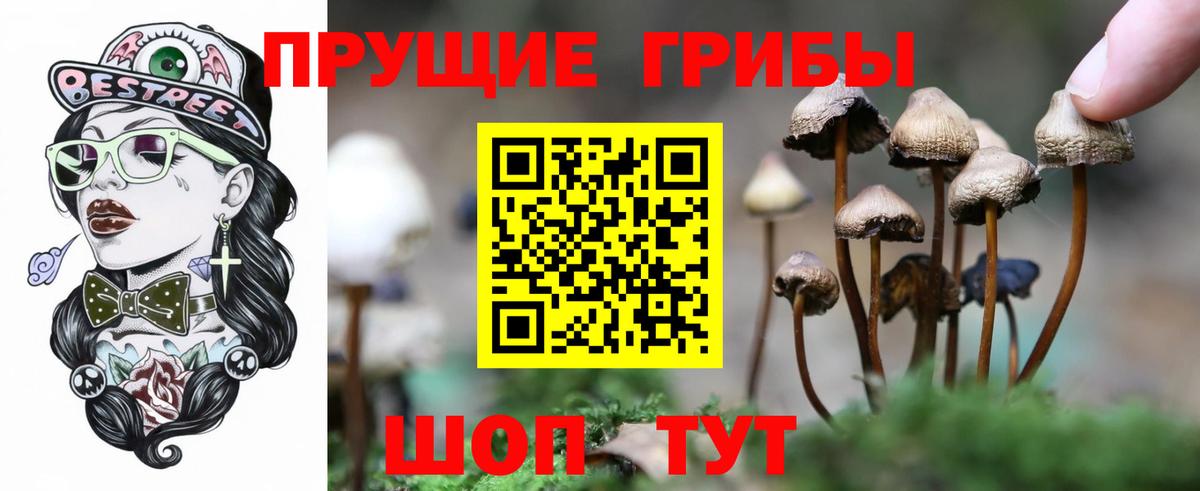 Галлюциногенные грибы мицелий Жуковский